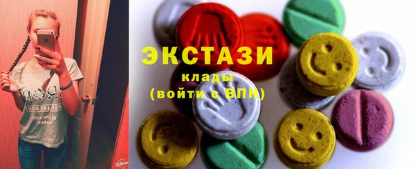 spice Богородицк
