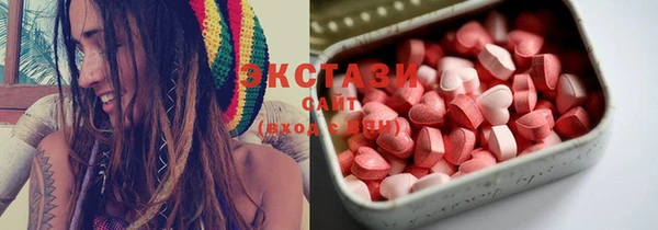 spice Богородицк