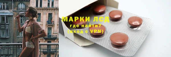 spice Богородицк