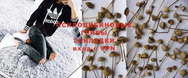 экстази Богданович