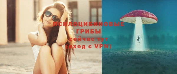 экстази Богданович