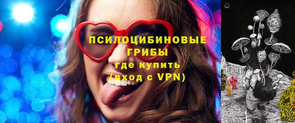 экстази Богданович
