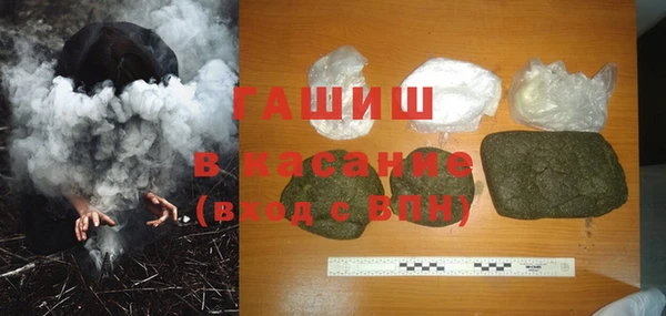 spice Богородицк