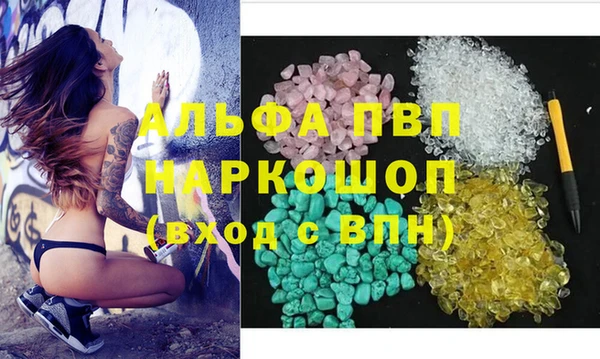 spice Богородицк