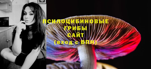 экстази Богданович