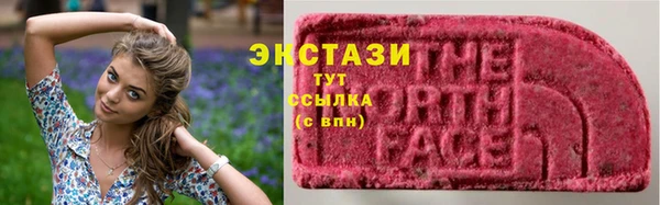 spice Богородицк